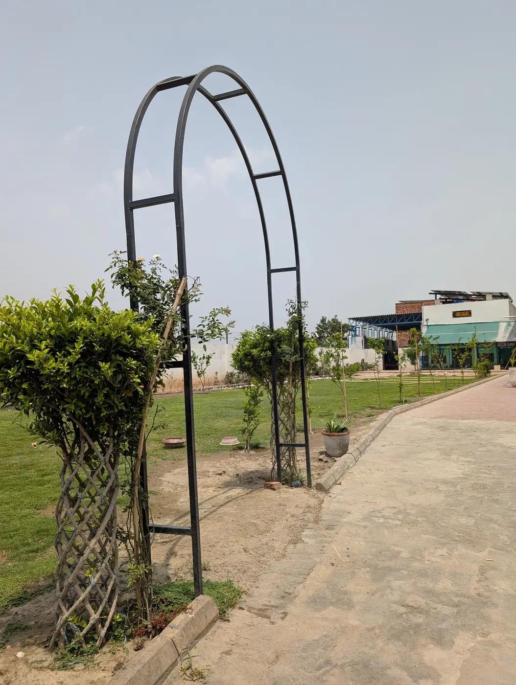 Kosam Farms garden arch with climbing roses